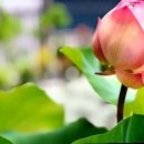 (주)당신의 파트너 이미지