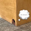 김해여자고등학교 | 김해 대성동 수로왕릉 카페 꾸우씨 두바이 김밥 후기