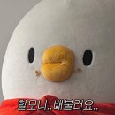뚠뚠 - 서귀포시 | 뚠뚠
