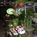 목동꽃집 아름다운세상 가격 위치 영업시간