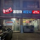 늘방실꼼장어