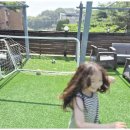 태안키즈풀빌라아띠 이미지