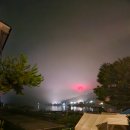 태린메디칼 네이버블로그