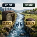 [삼성생명GFC] 법인 대표의 두 지갑 — 매년 수억이 새고 있다