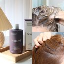 다나메드 | 스칼프메드 탈모샴푸 꼬ㅊ보다뷰티 다나카샴푸 후기