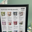 명동 ) 무민 팝업스토어 후기_이딸라 무민 아라비아 팝업
