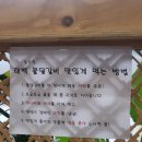 태백 솥뚜껑 물닭갈비 이미지