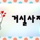 노빌리움APT 이미지