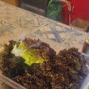 마블링 스테이 | 양양 스테이다로 숙소와 무한리필 바베큐 재방문 후기