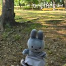 경주 가볼만한곳 황리단길 미피스토어 석굴암에디션 가격 후기