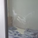 취침시 집에 침입하여 장농 거울에 알 수 없는 물질을 잔뜩 묻혀 놓고 저의 몸에도 손을 댑니다. 이미지