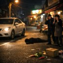 금촌전통시장 | 경기 파주시 금촌동 금촌전통시장서 음주 뺑소니 사고 낸 50대 여성 긴급체포... 60대 피해자는 상태 위중