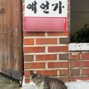 스시가미