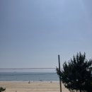 알찬 일주일