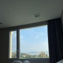 꽃사슴슈퍼 | [22.10.01 - 10-03] 황금연휴?에 떠난 제주도 2박 3일 💫🏝✈️ / 2일차 - 섭지코지, 비밀의 숲, 레일바이크...