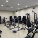 임금님손짜장 | 임금이방 꾸미기👶🛏️