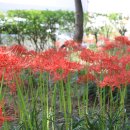 중리공원 이미지