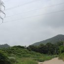 칠곡 노석리 마애불상군 이미지