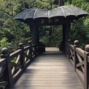 백암테니스장 이미지