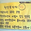 천진포자 이미지
