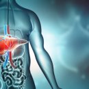 경화헬스 이미지