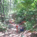 호암2약수터 이미지