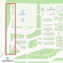 이충문화체육센터 | 4/5] 평택 벚꽃명소 은혜로 벚꽃길 | 이충문화체육센터 주차 꿀팁