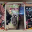 카페봄꿈 이미지