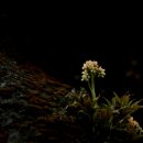 의령군종합사회복지관 | 의령사회종합복지관 사진교실 야외촬영한날