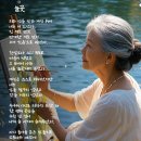 늘꽃 이미지