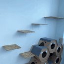 달봉냥의 꿈 이미지