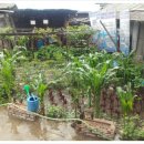 소 외양간 이미지