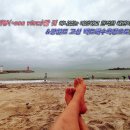 씨뷰SeaView 이미지