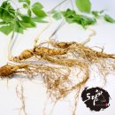 (주)원스탑시스템 | 장뇌삼 구매