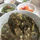 쉐돈