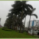 비(B)호텔 이미지