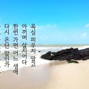 "충청도 사투리가 제일 빨라유" 이미지