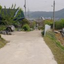 모평리 이미지