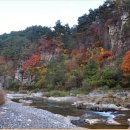 10월18일(일요당일)민둥산/지억산/신선대/몰운대 산행 이미지