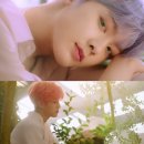 라잇필름 (Light film)