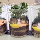 백송초등학교 이미지