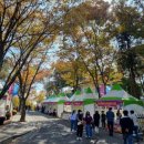 화순불미나리 이미지