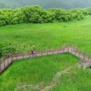 퇴촌나폴리 이미지