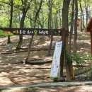 비호동산 유아숲체험원 이미지