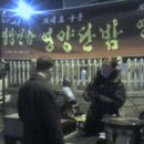 단밤 이미지