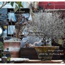 크로키아 이미지