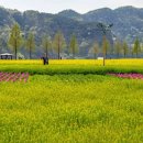 의령-의령-의령-D-3 이미지