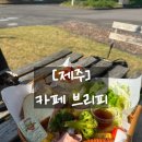 [카페 브리피]공항근처 애견동반 가능한 예쁜 브런치 카페-메뉴추천☀︎