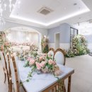 비엔티 카카오 검색결과