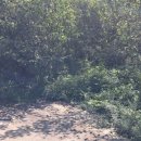 수안보면사무소 이미지